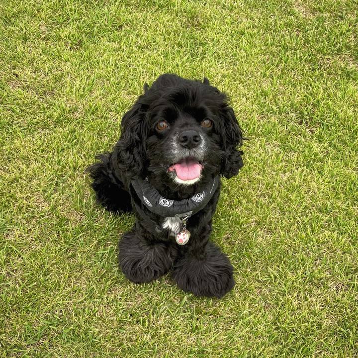 293a3035 802f 40b8 8014 94130b65bd1a 1630839488585