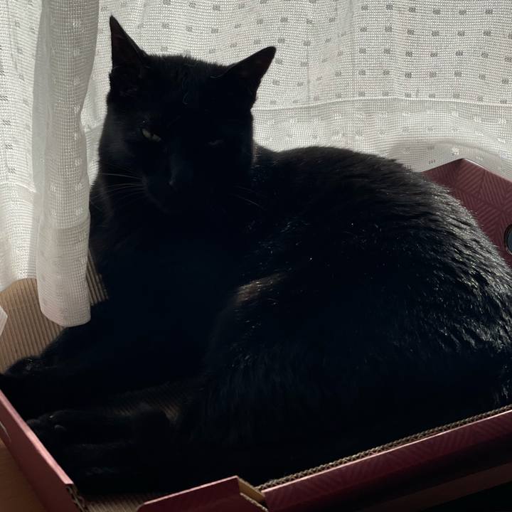 293a496e f646 4efb bd4f d788accba489 1617324417386