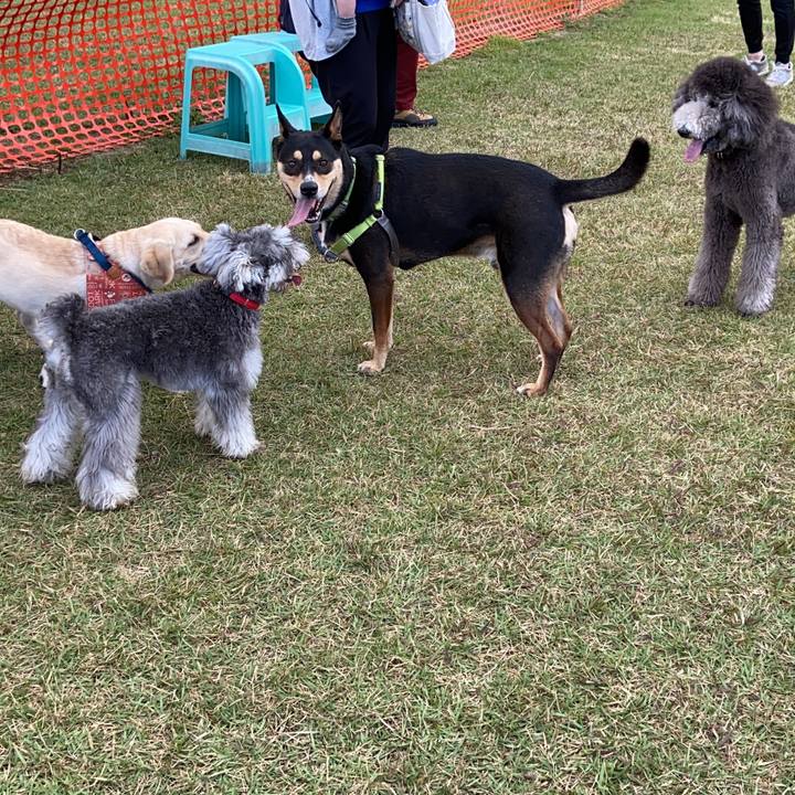 293a6e57 b749 4b0b a5af 3d1eff02905f 1633519185778