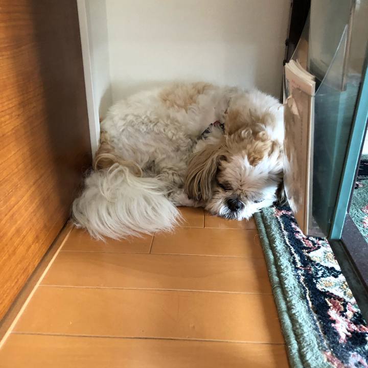 293a8786 5066 4983 8219 7b064ba9e597 1527546627549