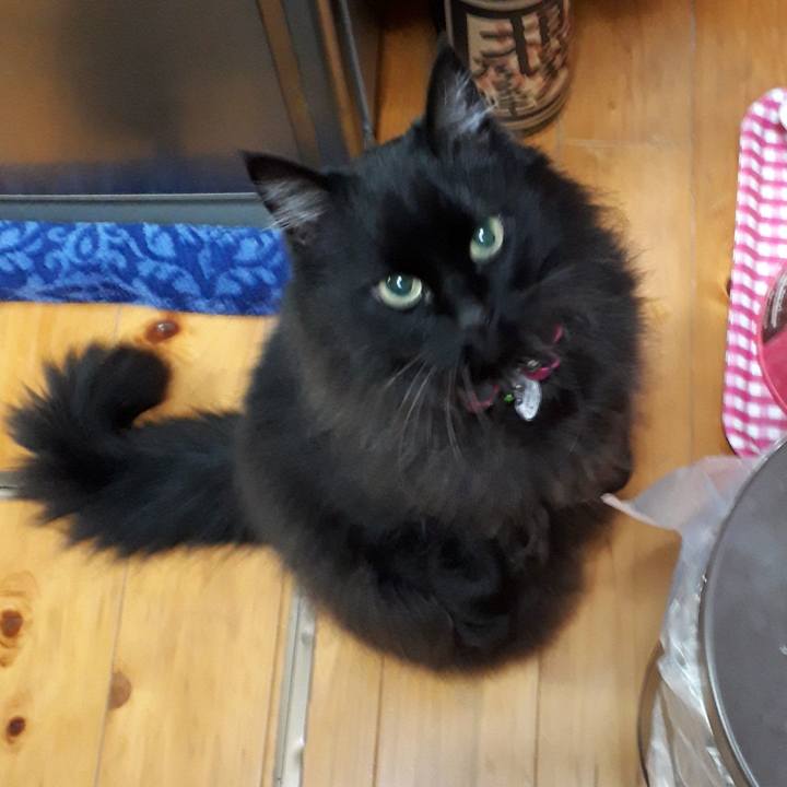 293aa568 f457 412e 9449 4228f6cd3dad 1522704612006