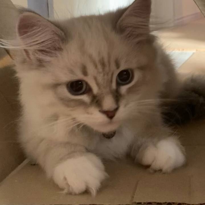 293aa7dc 6378 4d82 96e8 ea23c7e0116b 1667738781353