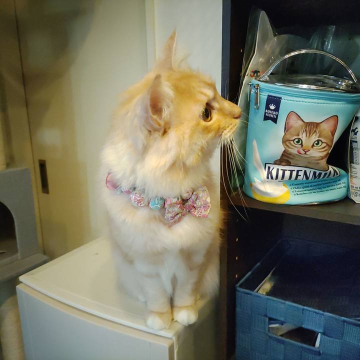 293abb83 87a9 4e48 8c0e e2ef458e7b2a 1667169510697