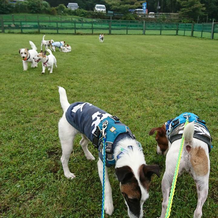 293aec27 feec 4425 9c1a b37388230f50 1562395648839