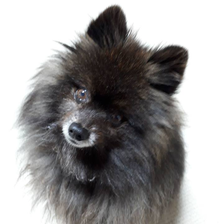 293b17c1 92bd 4b0b 9587 1d458b4af0ae 1518979704997