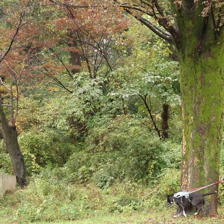 293b2da4 463c 41a2 ba34 cab853e8e9e7 1732147775465