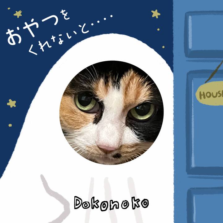 293b4177 d8d7 425e 83e4 f097525fb8b2 1729326904309