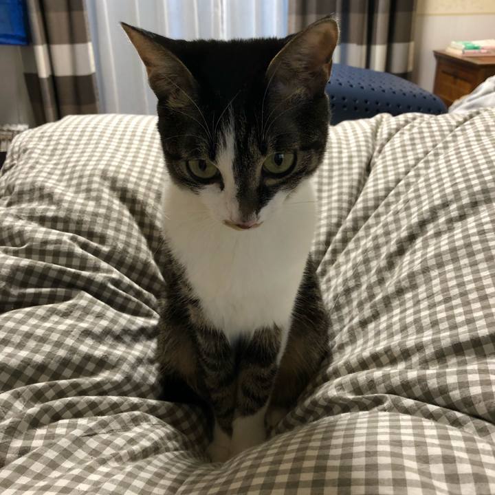 293b5c4b 5da7 4be3 a8c0 eb34bbb446d0 1514637627125