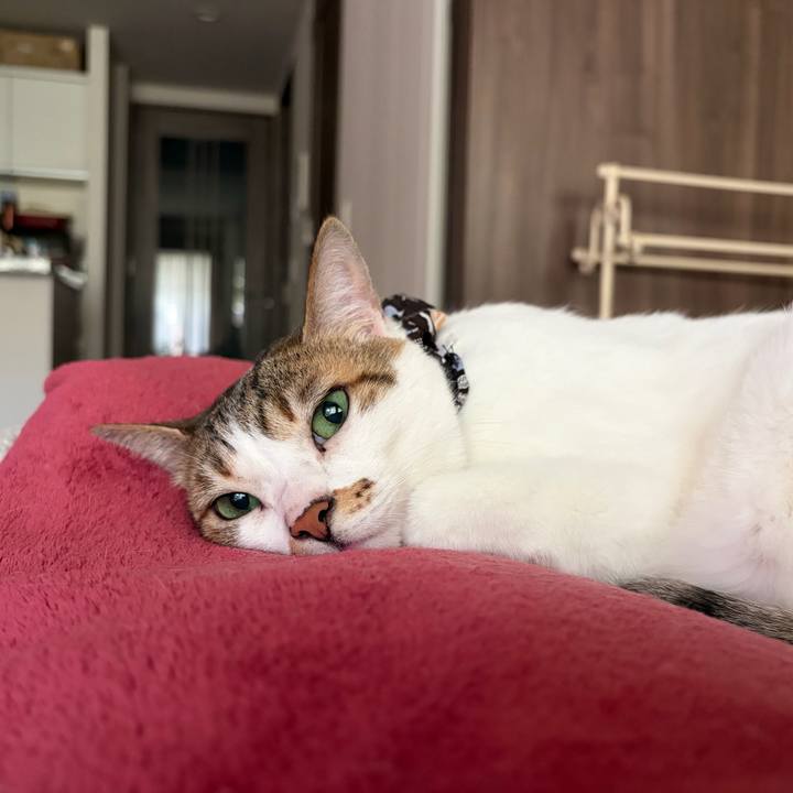 293b790b c793 4917 a98b 869041f5fda3 1769219669750