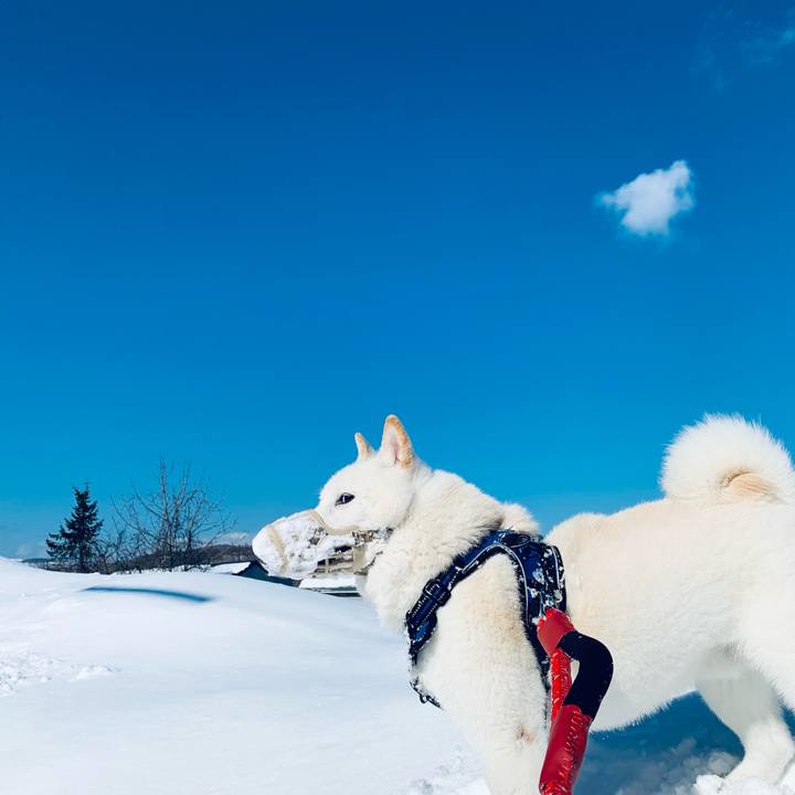 293b8f0e e604 497f 9fd9 f74dcdc93531 1644465939884