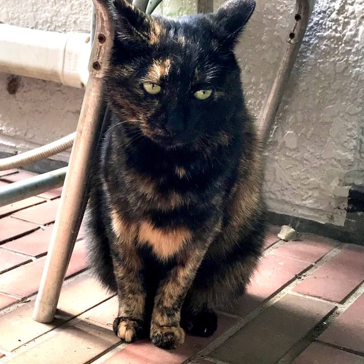 293ba805 d648 45c1 acc2 5237dfb9b36b 1603943936836