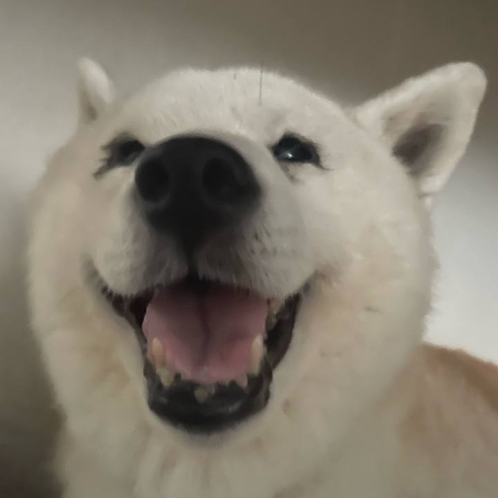 293bb07a 953a 4be1 887a 01a946ccdd38 1726446484078