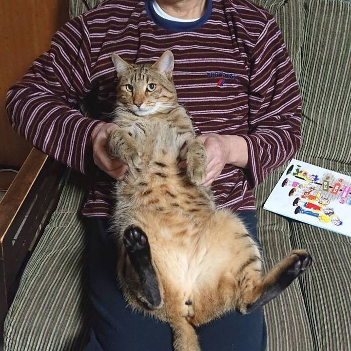 293bb707 367c 4f59 8a4a c4fd3b939354 1649946876266