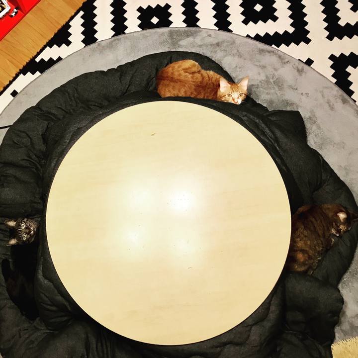 293bbf87 6aac 44e7 ae78 ebc25697c70e 1541336579153