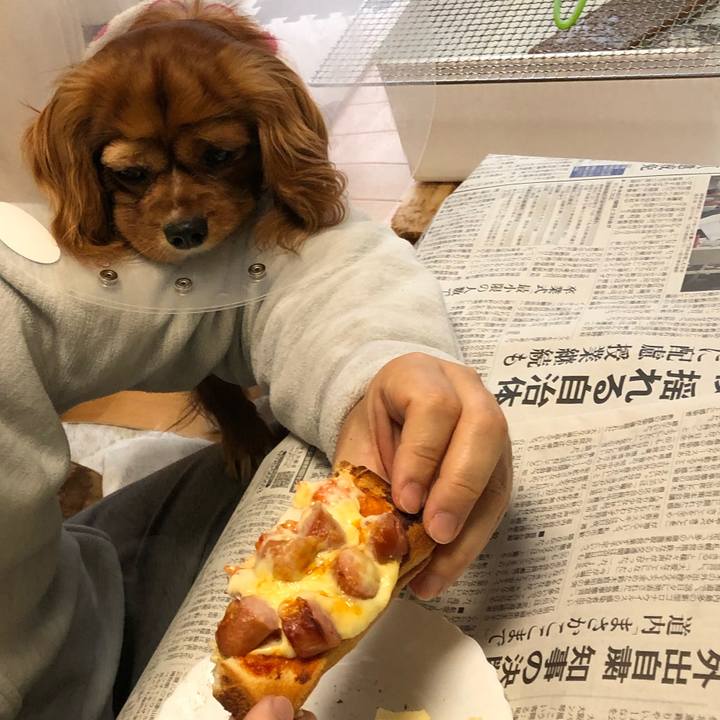 293bd2e6 a810 40cf 9095 6fdb16077df2 1582928138997