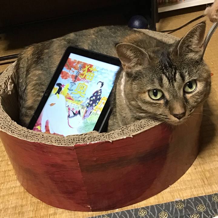 293c12bc a189 4edb ad7f dba8147e47bf 1695381573990