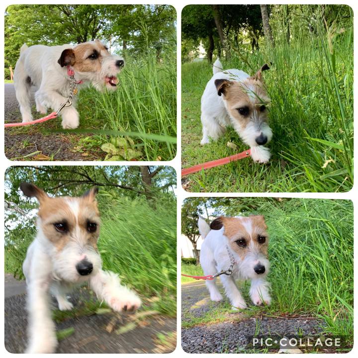 293c8ccc 61e5 4106 8a0a de43c68d807b 1589453404104