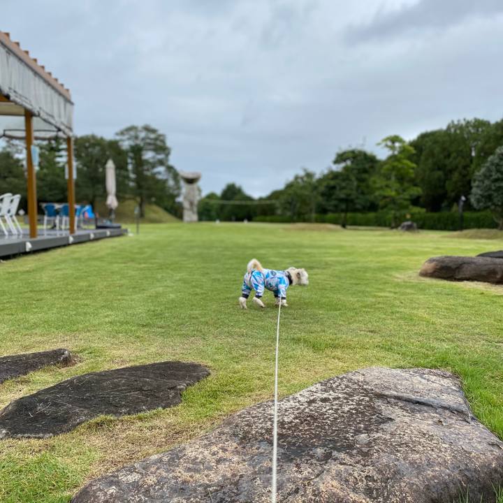 293cb24b 2e6b 4bfb 8595 e5c43af882e1 1601101031652