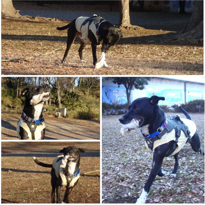 293cd1b3 78f6 47ea 80bc 3a97489774b7 1641172336964