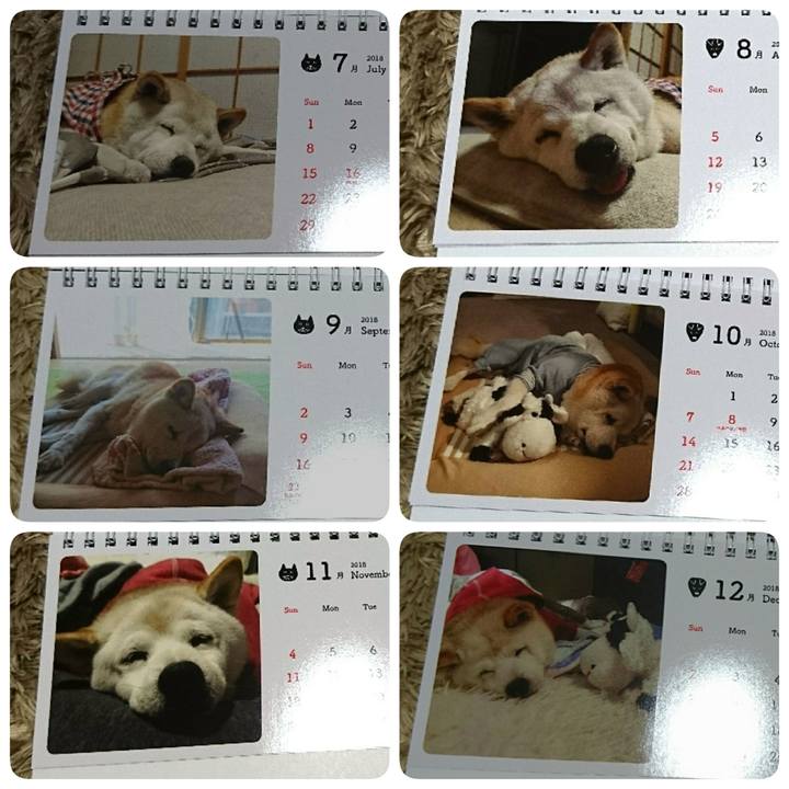 293ce79d fe7e 4617 9f06 600d747f27ec 1510978550651