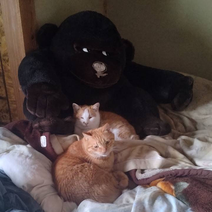 293d0baa 74ed 438d 84b4 0b553a9aff79 1765612663880