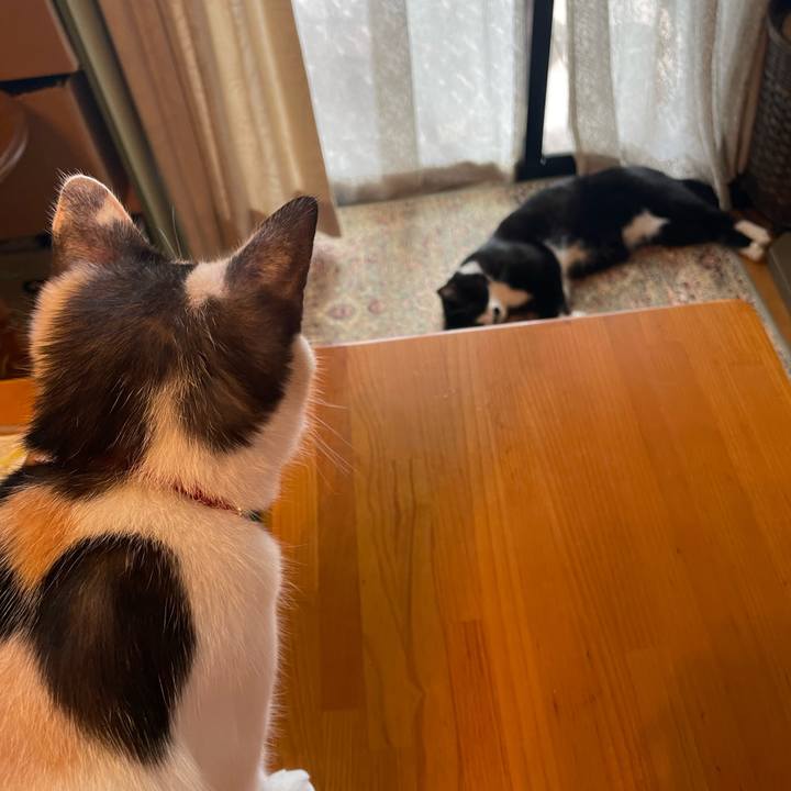 293d1c86 9809 4e2c 8147 28a171ae28d9 1726361905576