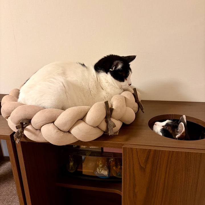 293d2bff 7551 448f 8700 a8b965e86e7b 1769784182508