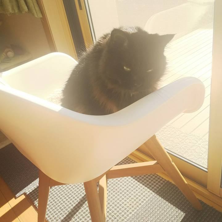 293d2cc6 2d3d 4059 b89f 8a7e85a14015 1545100955609