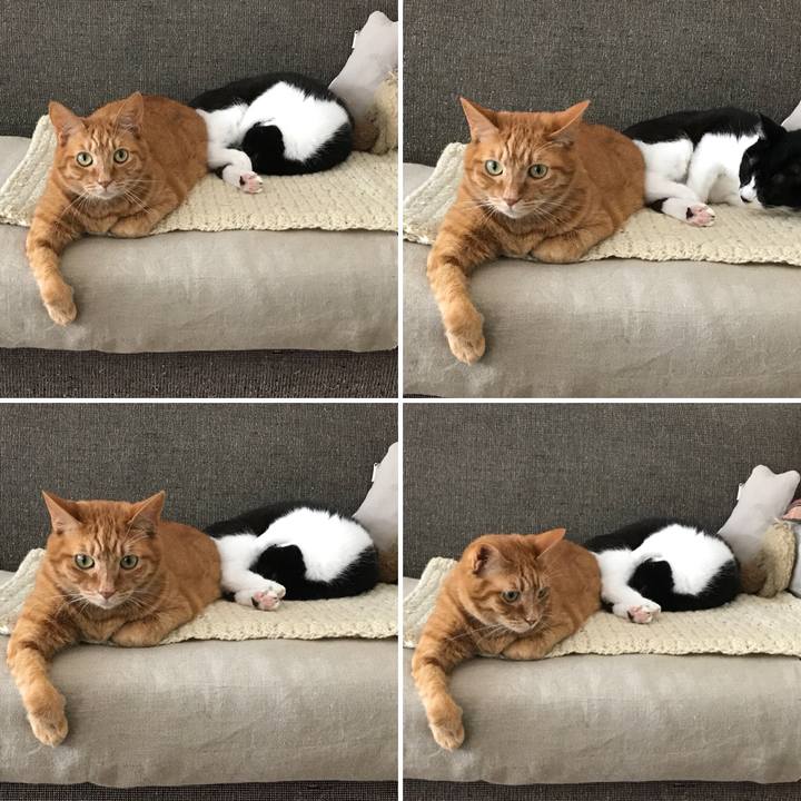 293d8dfa a0c1 4f94 a971 f9cf86eca44c 1527664544324