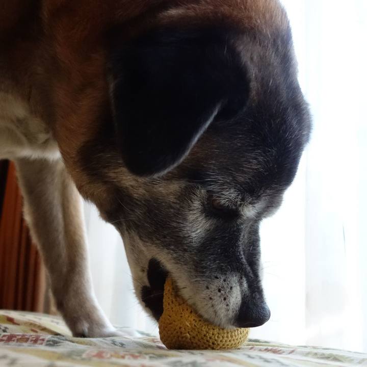 293dc9c1 54cf 4870 9d0e ea4620bf7d81 1635036227200