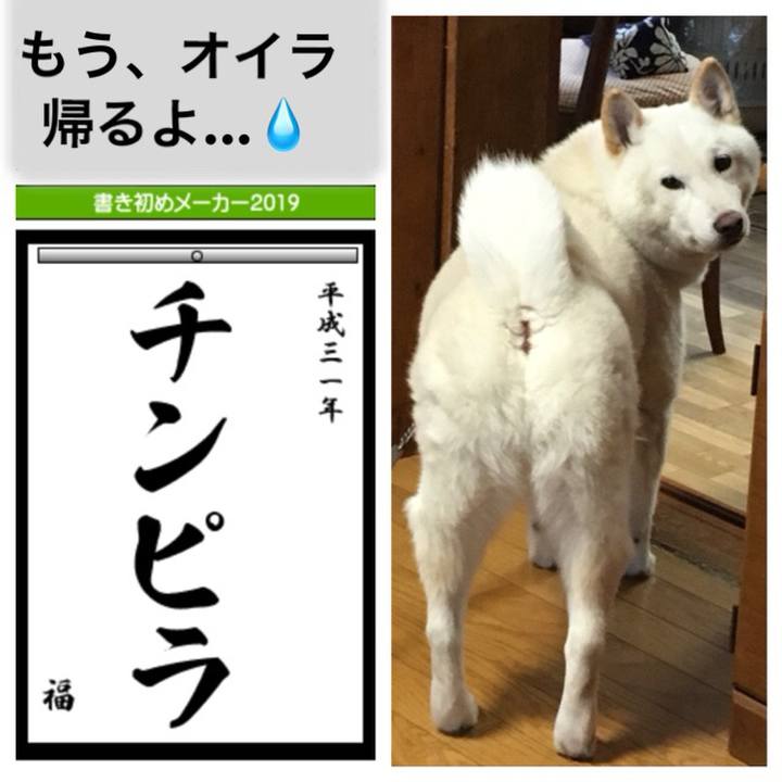 293df0eb d3c6 478f 98d7 8f71ba14b583 1546441157687