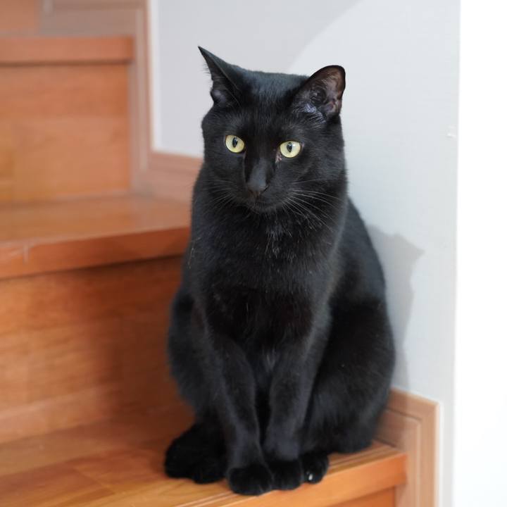 293dfd4e b06a 4763 b0f0 ecb17638757c 1619618540991