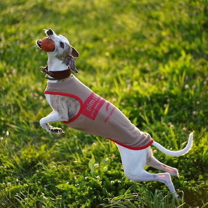 293e013b 7590 4760 beb1 de95163268f0 1538660531955