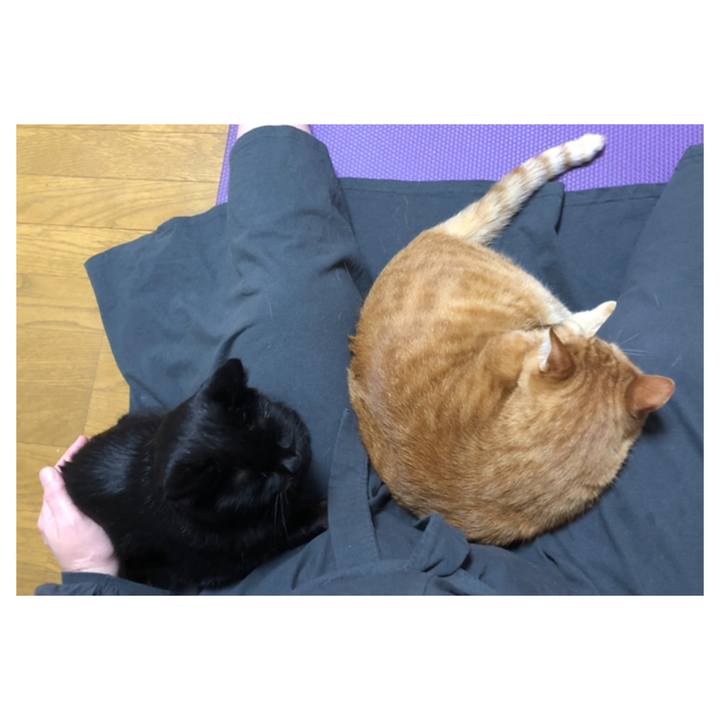 293e168e 3977 4ce3 a2d1 caf8eac8eaf3 1606826887165