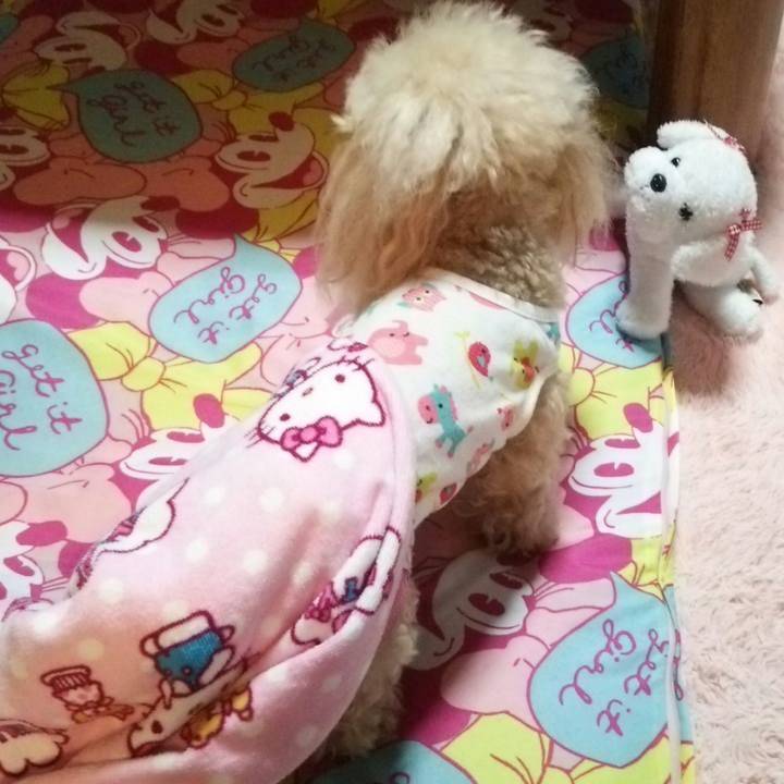 293e22ab 9f68 420a bb2b 284f384e82e8 1560429190930