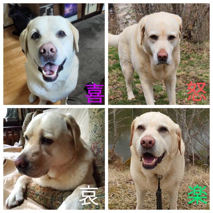 293e28a4 912b 42b0 af18 41f8bfd26e3e 1747564697435