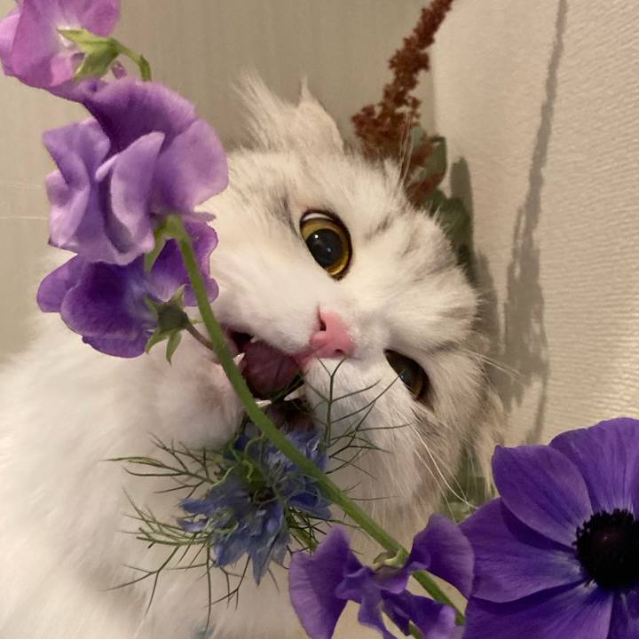 293e2ca7 86a5 4014 ac6a 46e2a5af49e7 1676903145185