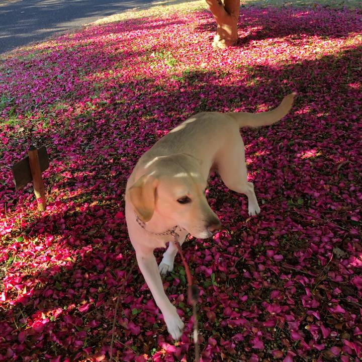 293e3d74 b5c3 461e a58b e587b8c8bbf7 1637834401798