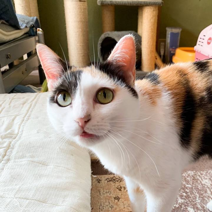 293e6114 4366 4764 a25d ed7e7e9da115 1566868598405