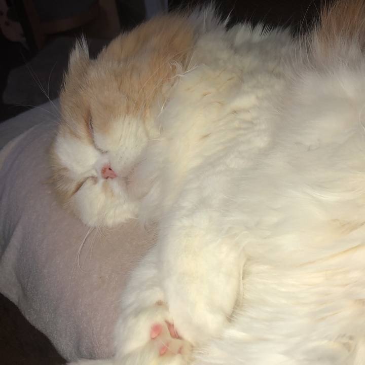 293e6376 734c 4b8a 8bef b67fa49a5834 1649367914379