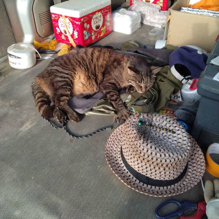 293ee9c8 99a5 489e 9573 9ed7b31e4cc6 1749246654182