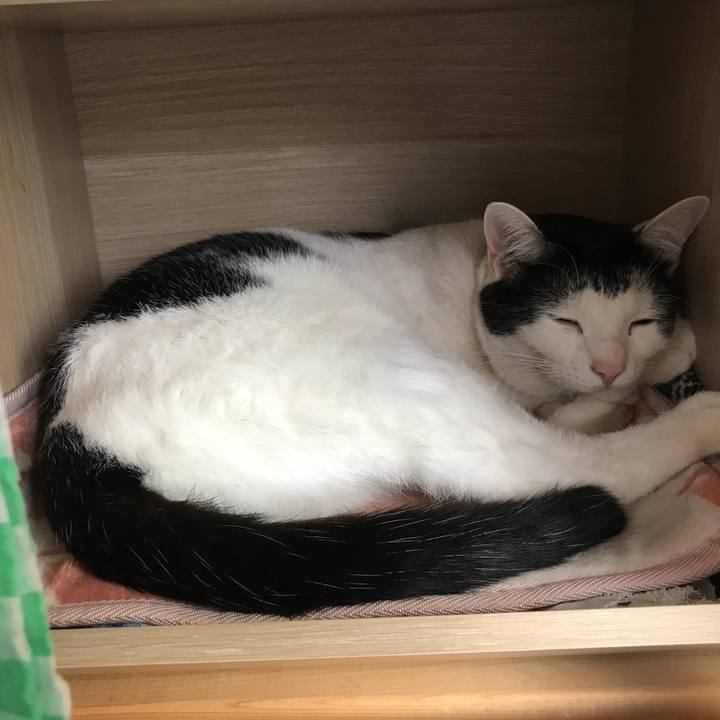 293ef5b2 5e0d 4399 a16a 0368fd0f2bfc 1539137124914