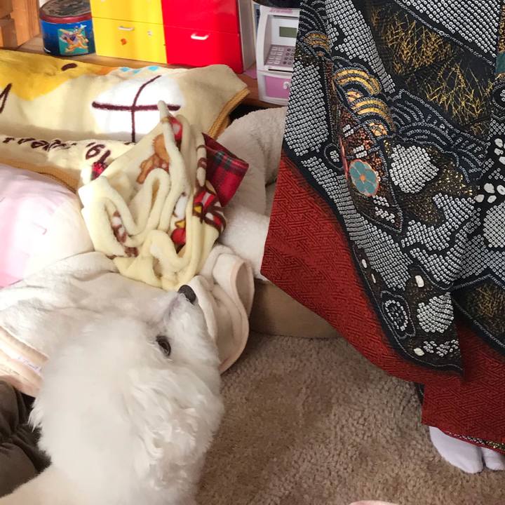 293f315e 2791 4c1a 8daa bbecbc4a1375 1578877161018