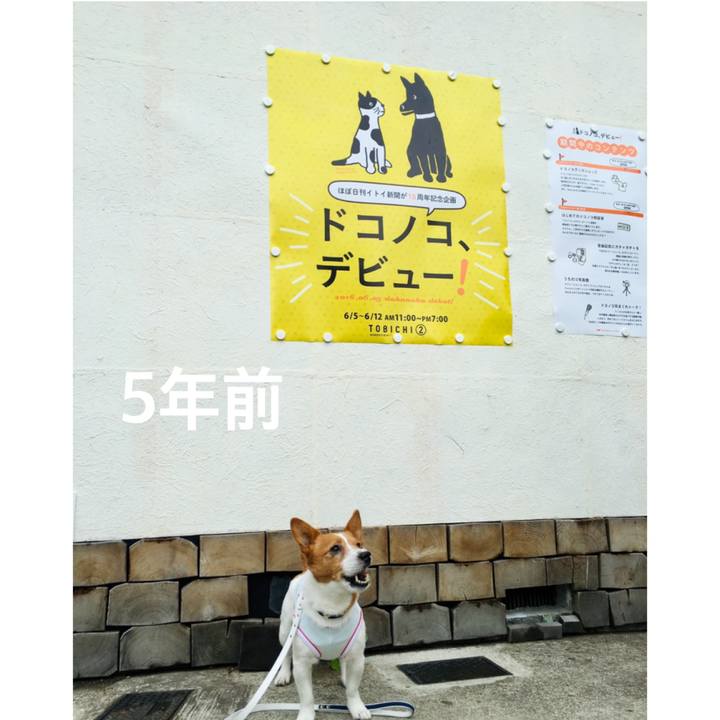 293f3e5c bbc8 42b8 b6c8 044bdc23105f 1622902618350