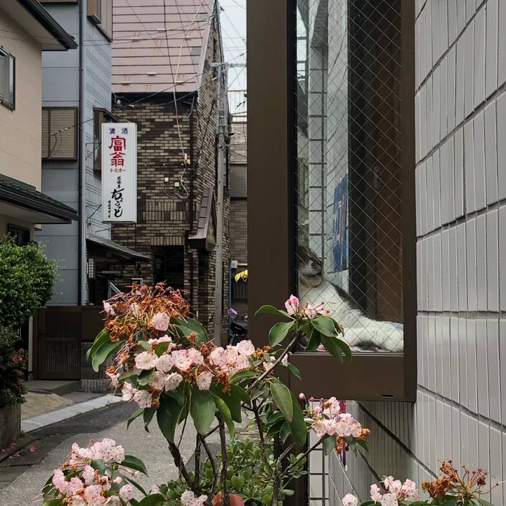 293f45d6 1985 4acb b9cd 797904a08267 1623305567861