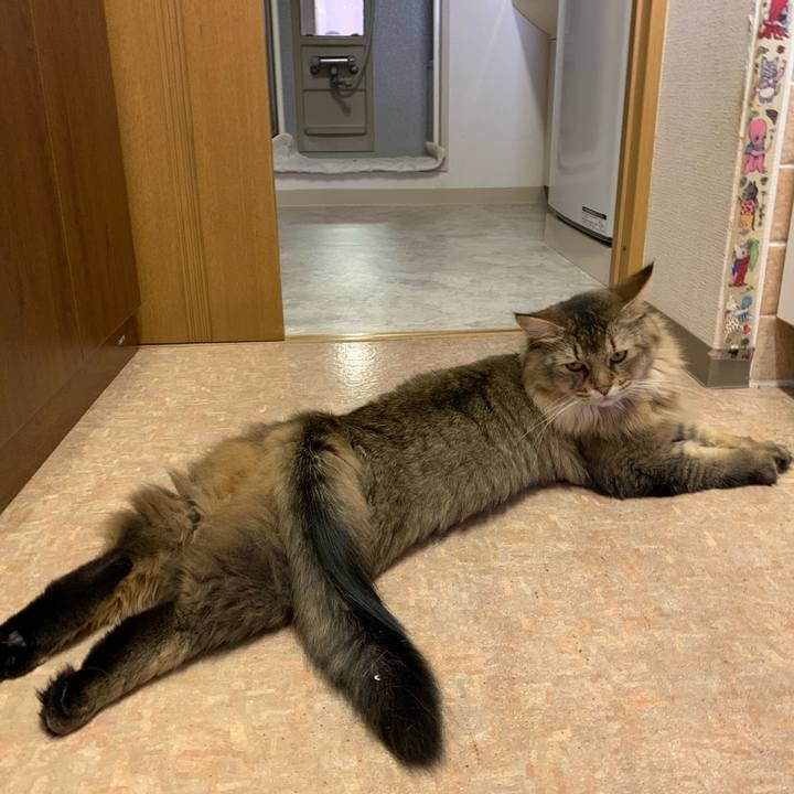 293fa2b0 a875 41c3 8f16 74ebe163efcb 1754607118671