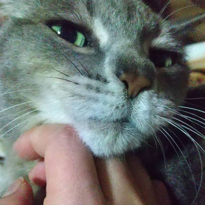 293fcf86 359c 44c3 9557 aaa23c7255cb 1609345727663