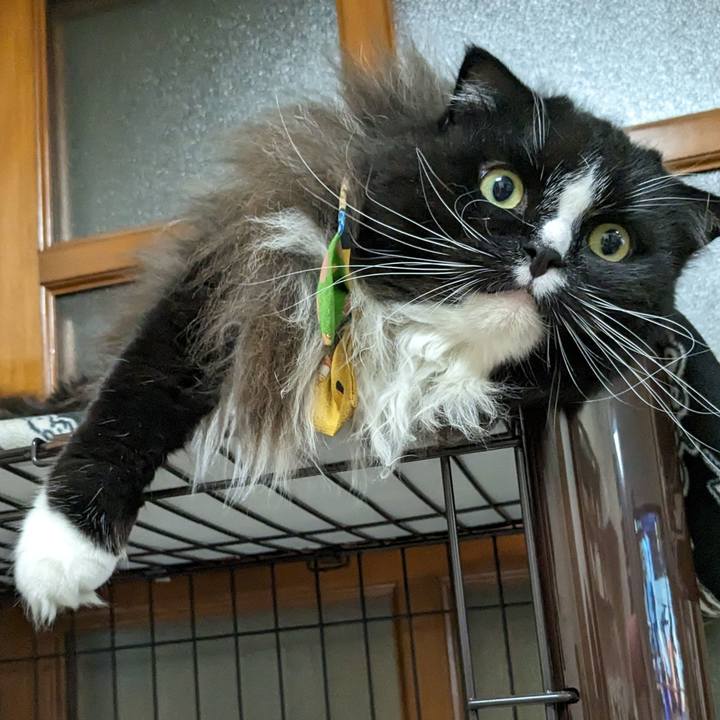 293fd0fd d367 49ba 93d9 23482174a0aa 1695907286816