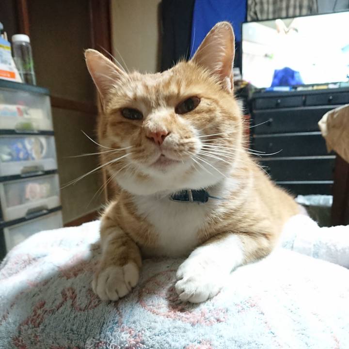 293fd668 8345 466d 8785 6bb95c180dbc 1606772403957