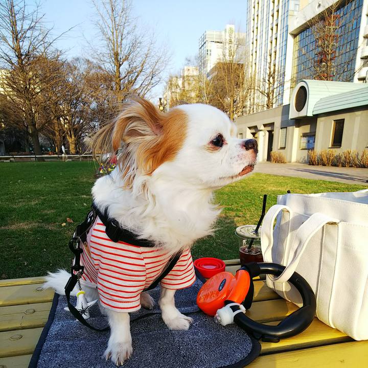 294009fe 85f6 4d73 8836 8511cf4128f4 1524999348406